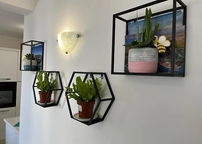 Apartman Vitas Zára